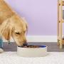 Ethical 9-1/2-Inch Stoneware Crock Dog Dish