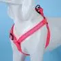 Heavy Duty Quick-Fit Step-in Harness Comfortable, Adjustable Lightweight Breathable and Easy Walker for Small Medium Large Dogs (S (Width:1/2'', Chest:13.8''-21''), Neon Pink) Heavy Duty Quick-Fit Step-in Harness Comfortable, Adjustable Lightweight Breathable and Easy Walker for Small Medium Large Dogs (S (Width:1/2'', Chest:13.8''-21''), Neon Pink)