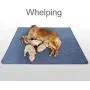Non-Slip Dog Pads 65 x 48, Washable Puppy Pads with Fast Absorbent, Waterproof for Training, Whelping, Housebreaking, for Playpen, Crate, Kennel