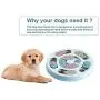Dog Puzzle Toys,Puppy Puzzle Game Toy,Interactive Game Toy for Dogs,Dog Interactive Feeder Bowl,Dog Slow Feeder Puzzle Toy for Pet Dogs Puppy Cats Prevent Boredom and Upset Dog Puzzle Toys,Puppy Puzzle Game Toy,Interactive Game Toy for Dogs,Dog Interactive Feeder Bowl,Dog Slow Feeder Puzzle Toy for Pet Dogs Puppy Cats Prevent Boredom and Upset