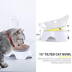 MILIFUN Double Dog Cat Bowls - Pets Water and Food Bowl Set, 15°Tilted Water and Food Bowl Set with Automatic Waterer Bottle for Small or Medium Size Dogs Cats