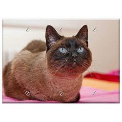 Triple Blank Wall Plate Cover - Cat Feline Cat Eyes Cat Face Kitty Pet Animal