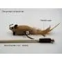 7 Angry Ants Cat Teaser Set for Cats Retractable Mice Cat Toys Mouse Teasers 7 Pieces Set 7 Angry Ants Cat Teaser Set for Cats Retractable Mice Cat Toys Mouse Teasers 7 Pieces Set