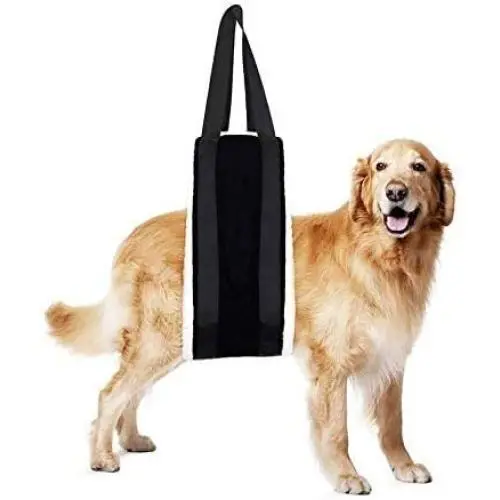 Dog Lift Harness Portable Dog Sling for Back Legs, Soft Lining Transfer Sling for Old Dog Back Rear Legs,Support Dog Harness for Arthritis ACL Rehabilitation Rehab,Fit Senior,Injured Dogs 20-100 lbs Dog Lift Harness Portable Dog Sling for Back Legs, Soft Lining Transfer Sling for Old Dog Back Rear Legs,Support Dog Harness for Arthritis ACL Rehabilitation Rehab,Fit Senior,Injured Dogs 20-100 lbs