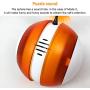 ZZK Creative Funny Cats and Dogs Toys Interactive Automatic Ball Tumbler Ball Automatically Funny cat Fishing Rod Rod and Tumbler Smart LED Flash Electric Toy cat