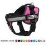 Dogline Unimax Dog Harness Vest with Agility Dog Patches Adjustable Straps Breathable Neoprene for Identification Training Dogs Dogline Unimax Dog Harness Vest with Agility Dog Patches Adjustable Straps Breathable Neoprene for Identification Training Dogs
