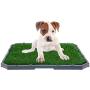 BINGPET Dog Grass Training Potty Pad, with Foldable Tray and Washable Pee Pads, Indoor Home Toilet System Pad, Portable Bathroom Mat for Puppies, Small Medium Doggies BINGPET Dog Grass Training Potty Pad, with Foldable Tray and Washable Pee Pads, Indoor Home Toilet System Pad, Portable Bathroom Mat for Puppies, Small Medium Doggies