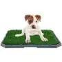 BINGPET Dog Grass Training Potty Pad, with Foldable Tray and Washable Pee Pads, Indoor Home Toilet System Pad, Portable Bathroom Mat for Puppies, Small Medium Doggies