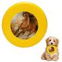 Pet Frisbee Flying Disc Dog Toy - Multifunction Horse1 Arthur Braginsky