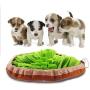 Dog Snuffle Mat Lick Pad Set, Dog Slow Eat Bowl Training Foraging, Fun to Use Design Durable and Machine Washable, Cats Dogs Feeding Mat Travel Us