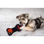 Pets First NFL Cleveland Browns Football Dental Tough Dog TUG Bone Toy with Built-in Squeaker Attached to a Safe Rubber Teething Toothbrush PET Toy, Team Color, 14 x 5 (CLE-3310)