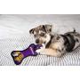 Pets First NFL Minnesota Vikings Football Dental Tough Dog TUG Bone Toy with Built-in Squeaker Attached to a Safe Rubber Teething Toothbrush PET Toy, Team Color, 14 x 5 (MIN-3310)
