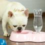 Kispets Pet Gravity Water Dispenser, Suitable for Cats and Small Dogs, Suitable for Most Bottled Water Calibers