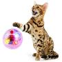 TeenTop Pet Interactive Plastic Ball, Durable Luminescent Transparent Toy Cat Ball Toy Lighting for Kitten Exercise Relief Boredom Boring