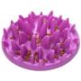 Patgoal Large Cat Catch Interactive Feeder Bowl Slow Feed Anti-gulping Bloat Stop Pet Bowl (Purple)