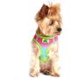 American River Dog Harness Ombre Collection - Rainbow XXL