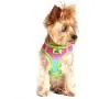 American River Dog Harness Ombre Collection - Rainbow XXL American River Dog Harness Ombre Collection - Rainbow XXL