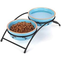 Y YHY Cat Food Dishes, Raised Cat Bowls Ceramic, Elevated Cat Bowls for Food and Water, Pet Bowls for Cats and Dogs, Anti Vomiting, Whisker Fatigue, Dishwasher Safe, 12 Ounces