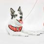 Fresh Pawz - Adjustable Mesh Harness