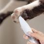INSHERE Dog Clippers Electric Low Noise Pet Grooming Kit Rechargeable Cordless Dog Trimmer for Grooming Around Paw, Eyes, Ears