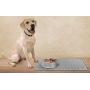 LuxPal Extra Large 23x17 Premium Grade Silicone Dog & Cat Indoor or Outdoor Food Mat for Pets and Animals None Slip Food Tray Placemat for All Floors, Washable, FDA Grade, Anti Bacterial