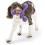 West Paw Zogoflex Echo Zwig Squeezy Dog Fetching Stick (13.75”, Melon) & Zogoflex Air Skamp Tug-of-War Stick Dog Chew Toy (Eggplant) – Interactive Toy for Dogs, Puppies – for Catch, Carry, Fetch