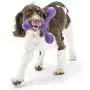 West Paw Zogoflex Bumi Dog Tug Toy (Large, Aqua) & Zogoflex Air Skamp Tug-of-War Stick Dog Chew Toy (Eggplant) – Interactive Toy for Dogs, Puppies – for Chewing, Catch, Carry, Fetch