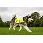4LegsFriend Dog Safety Yellow Reflective Vest with Leash Hole 5 Sizes - High Visibility for Outdoor Activity Day and Night, Keep Your Dog Visible, Safe from Cars & Hunting Accidents 4LegsFriend Dog Safety Yellow Reflective Vest with Leash Hole 5 Sizes - High Visibility for Outdoor Activity Day and Night, Keep Your Dog Visible, Safe from Cars & Hunting Accidents