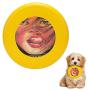 Pet Frisbee Flying Disc Dog Toy - Multifunction Star 80 1984 Maciej Woltman Polish B1 Film Poster