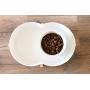 Highwave Lagoon Dog Dish, Small, White