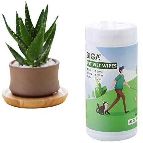 Pet Grooming Wipes with Deodorizing Hypoallergenic for Dogs Cats Cleaning Face Butt Eyes Ears Paws Teeth 60ct per Pack