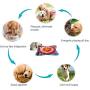 Farfly Snuffle Mat for Dogs Feeding Mat Easy to Fill and Machine Washable Training Play Mats Interactive Puzzle Toys for Stress Release