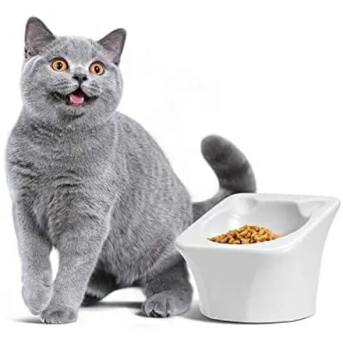 ComSaf Raised Cat Food Bowl, Elevated Slanted Kitten Pet Food Bowl, Inclined Cat Food Dish, Ceramic Cat Pet Food Water Feeder ComSaf Raised Cat Food Bowl, Elevated Slanted Kitten Pet Food Bowl, Inclined Cat Food Dish, Ceramic Cat Pet Food Water Feeder