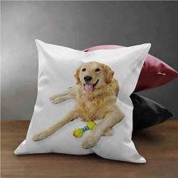 HouseLook Golden Retriever Cushion Cover Decorative Pet Dog Laying Down with Toy Friendly Domestic Puppy Playful Companion Soft Cushion Covers with Hidden Zipper Multicolor (18''x18'')