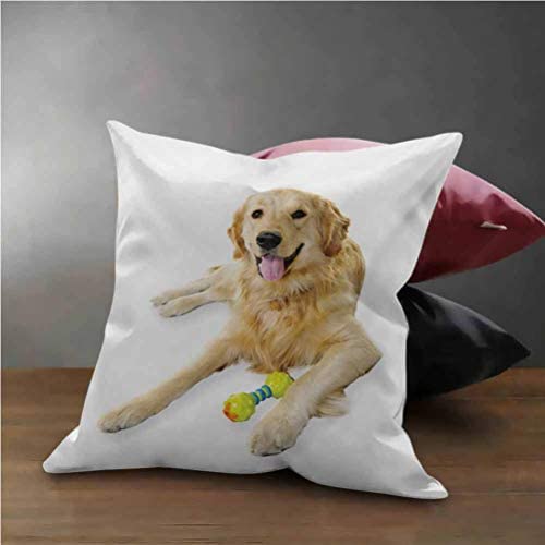 HouseLook Golden Retriever Cushion Cover Decorative Pet Dog Laying Down with Toy Friendly Domestic Puppy Playful Companion Soft Cushion Covers with Hidden Zipper Multicolor (18''x18'')