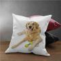 HouseLook Golden Retriever Cushion Cover Decorative Pet Dog Laying Down with Toy Friendly Domestic Puppy Playful Companion Soft Cushion Covers with Hidden Zipper Multicolor (18''x18'')