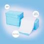 Blisswow Dog and Puppy Pee Training Pads - Pack of 200,23 x 22 Inches