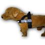 DO NOT PET Nylon Strap Service Dog Harness No Pull Guide Assistance Comes with 2 Reflective DO NOT PET Removable Patches. Please Measure Your Dog Before Ordering.