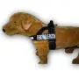 Doggie Stylz Service Dog Nylon Harness No Pull Guide Assistance Comes with 2 Reflective Service Dog Removable Patches. Please Measure Your Dog Before Ordering. Doggie Stylz Service Dog Nylon Harness No Pull Guide Assistance Comes with 2 Reflective Service Dog Removable Patches. Please Measure Your Dog Before Ordering.
