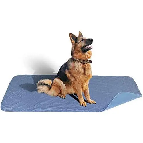 Careoutfit 36 x 72 - XXL Big Size Premium Stain Resistant Quick Absorbent Waterproof Reusable/Quilted Washable Large Dog/Puppy Training Travel Pee Pads Careoutfit 36 x 72 - XXL Big Size Premium Stain Resistant Quick Absorbent Waterproof Reusable/Quilted Washable Large Dog/Puppy Training Travel Pee Pads