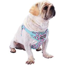 Blueberry Pet 5 Patterns Soft & Comfy Made Well Floral No Pull Mesh Dog Harness Vests, Harness Dresses