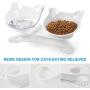 Legendog Cat Food Bowls, Double Cat Bowls Elevated Cat Bowls Raised Cat Bowls, 15° Tilted Elevated Cat Bowls to Protect The Neck for Cat and Small Dog (White&Clear)