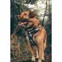 Embark Urban Dog Harness, Easy On and Off with Front and Back Leash Attachments & Control Handle - No Pull Training, Size Adjustable and Non Choke