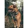 Embark Urban Dog Harness, Easy On and Off with Front and Back Leash Attachments & Control Handle - No Pull Training, Size Adjustable and Non Choke Embark Urban Dog Harness, Easy On and Off with Front and Back Leash Attachments & Control Handle - No Pull Training, Size Adjustable and Non Choke