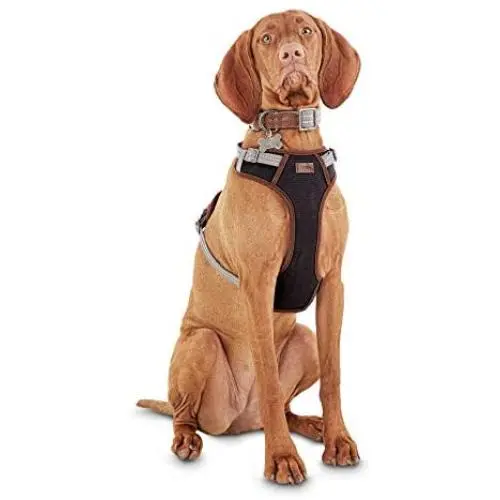 Reddy Black Dog Harness, XX-Large/3X-Large Reddy Black Dog Harness, XX-Large/3X-Large