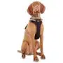 Reddy Black Dog Harness, XX-Large/3X-Large Reddy Black Dog Harness, XX-Large/3X-Large
