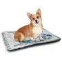 DayDayFun Letter B Dog Mat European Art Elements Floral B Letter in Alphabet Natural Inspirations Various Styles and Sizes of Pet Mats Blue Yellow Orange DayDayFun Letter B Dog Mat European Art Elements Floral B Letter in Alphabet Natural Inspirations Various Styles and Sizes of Pet Mats Blue Yellow Orange