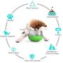 USWT Upgrade Dog Slow Feeder Bowl, Pet Slower Food Feeding Dishes,Interactive Bloat Stop Dog Bowls, Durable Preventing Choking Healthy Design