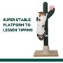 PetnPurr Handmade Cactus Cat Scratching Post, Cactus Pet House and Ceramic Pet Raised Bowl