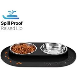 Flexzion Double Dog Bowl Feeding Station, Skid Proof Silicone Base with Spill Proof Raised Lip & Two 12oz Stainless Steel Bowls for Food and Water, Ideal for Small to Medium Size Dogs Cats Pet